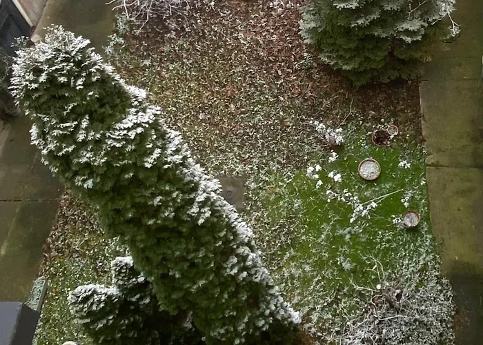 Apartment Sunshine Szegedin