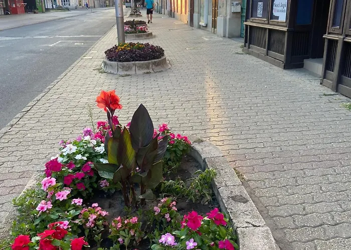 Sunshine Apartment Szegedin